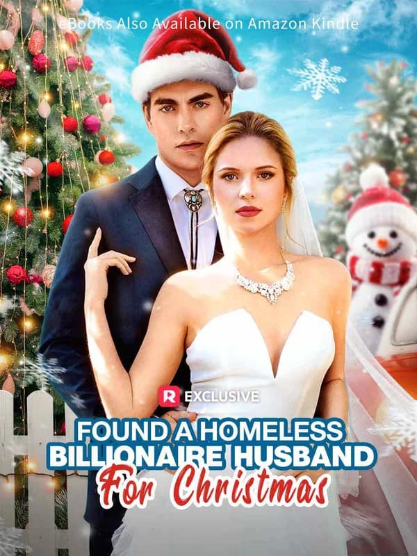 Found A Homeless Billionaire Husband for Christmas poster art